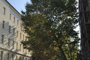 Hochwertig möblierte Wohnung in Charlottenburg – Danckelmannstraße 12, 14059 Charlottenburg, Berlin – Vorschaubild 25