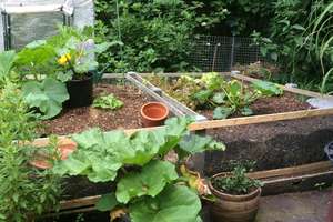 Altes Bauernhaus für Selbstversorger, Träumer, Individualisten mit Bauerngarten und Obstgehölzen! – Mühltalweg 74, 41844 Wegberg – Vorschaubild 11