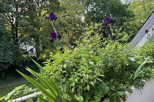 Property thumbnail 17