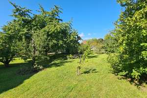 *** rd 1.365 m² Grundstück: Einfamilienhaus mit zusätzlichem Grundstück in begehrter Wohnlage! *** – Die vollständige Adresse der Immobilie erhältst du vom Anbieter., 70825 Korntal-Münchingen – Vorschaubild 8