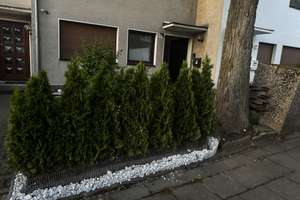 Charmantes Einfamilienhaus mit Garage und Terrasse – Ihr neues Zuhause in ruhiger Lage – Die vollständige Adresse der Immobilie erhältst du vom Anbieter., 42651 Solingen-Mitte, Solingen – Vorschaubild 57