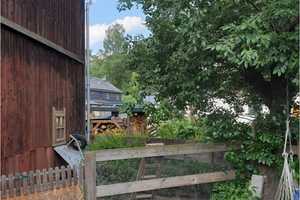 Kleinod zum Wachküssen im Naturparadies: Wohn- / Ferienhaus mit Scheune, Garten + rustikalem Charme! – Saale-Orla-Kreis – Vorschaubild 13