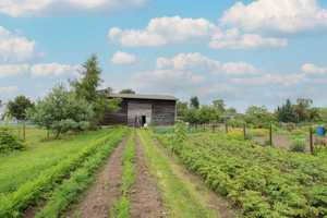 Zuhause gestalten: DHH inkl. Scheune und großem Garten in naturnaher Lage – Ostvorpommern (Kreis) – Vorschaubild 12