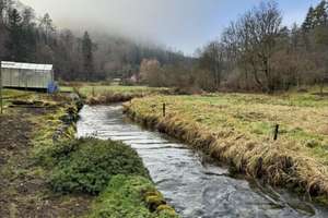Natur pur: Sanierungsobjekt mit Bach und zusätzlichem Altgebäude – Die vollständige Adresse der Immobilie erhältst du vom Anbieter., 72488 Sigmaringen – Vorschaubild 4