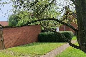 Gepflegtes Einfamilienhaus in exponierte Lage! – Die vollständige Adresse der Immobilie erhältst du vom Anbieter., 31592 Stolzenau – Vorschaubild 11