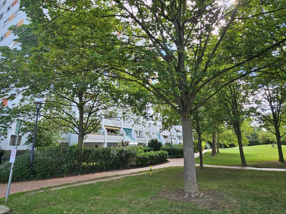 20250915_121543_resized