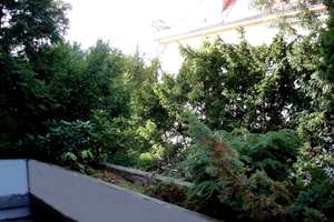 Terrassenwohnung mit Seezugang in Berlin -Grunewald – Delbrückstraße 14, 14193 Grunewald, Berlin – Vorschaubild 7