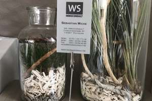 Property thumbnail 30