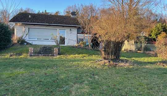 Bild von Traum in der Natur für Hundebesitzer und Tennisspieler