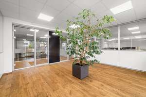 Repräsentative Bürofläche in gefragter Lage – Die vollständige Adresse der Immobilie erhältst du vom Anbieter., 89077 Weststadt, Ulm – Vorschaubild 3