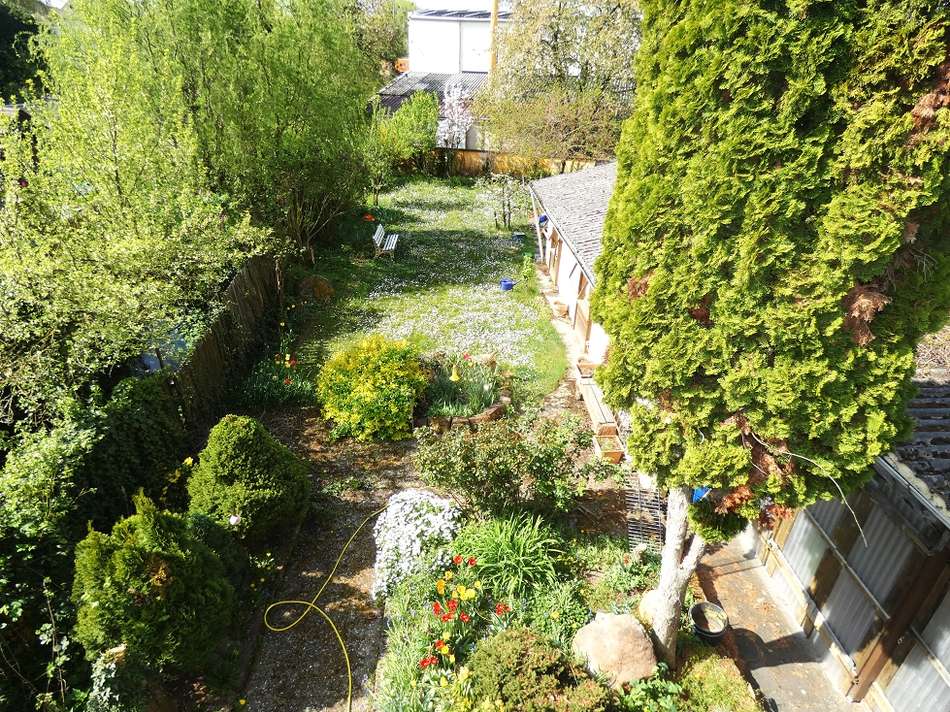 19 Garten
