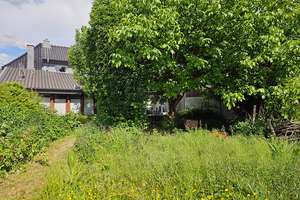 Feierabend unterm Walnussbaum!
 – Die vollständige Adresse der Immobilie erhältst du vom Anbieter., 52441 Linnich – Vorschaubild 4