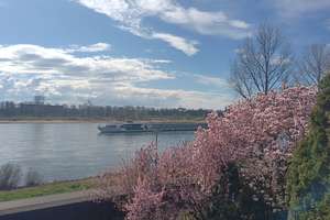 Rhein, Radweg... Ihr zu Hause! - Wohnlage direkt mit freiem Blick auf den Rhein