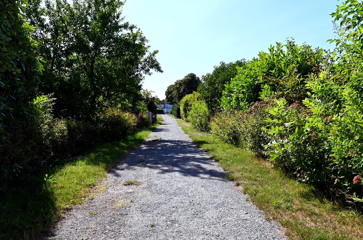 Bungalow im Ferienidyll Drigger Ort, Vorpommern Rügen Kreis – Bild 4