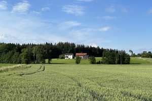 ehemalige Hofstelle auf 38.000 qm Grund mit 2-Fam-Haus + Baurecht für EFH, Alleinlage – Glockshub 3, 84416 Erding (Kreis) – Vorschaubild 2