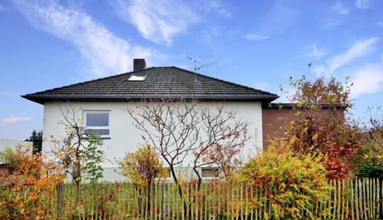 Bild von "Ein Freund fürs Leben"