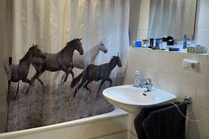 Charmante Studio-Wohnung mit hochwertiger Ausstattung nahe DFB-Campus & Universitätsklinikum – 60528 Niederrad, Frankfurt am Main – Vorschaubild 7