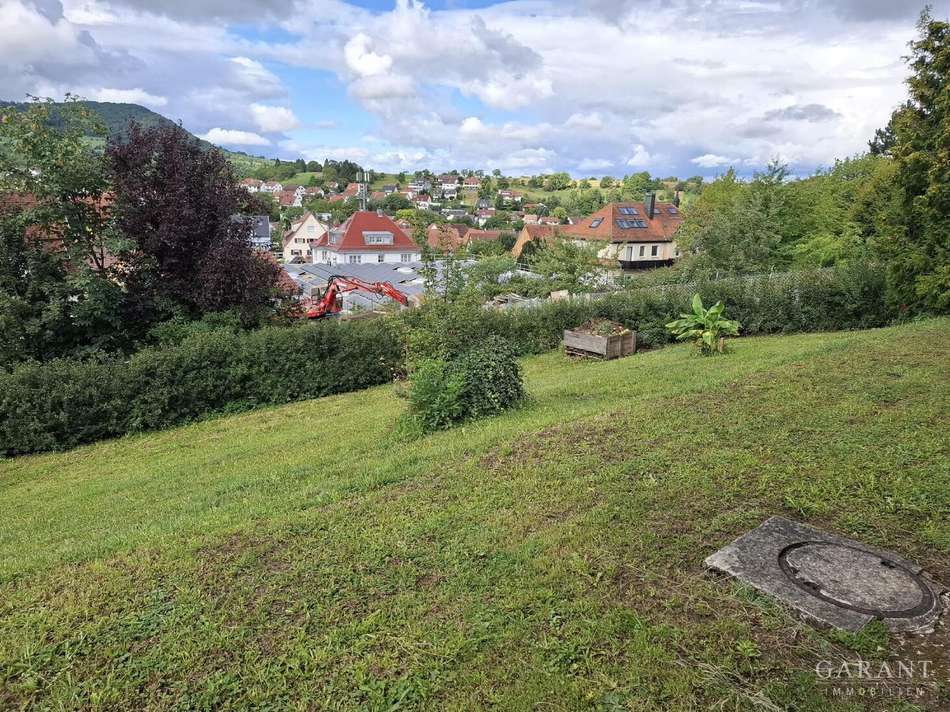 leichte Hangwiesengarten