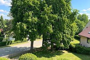 Wohnen mit Naturblick – Ihr neues Zuhause in Hamburg-Meiendorf – Die vollständige Adresse der Immobilie erhältst du vom Anbieter., 22145 Rahlstedt, Hamburg – Vorschaubild 4