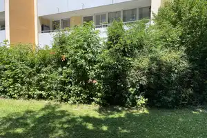 Property thumbnail 21