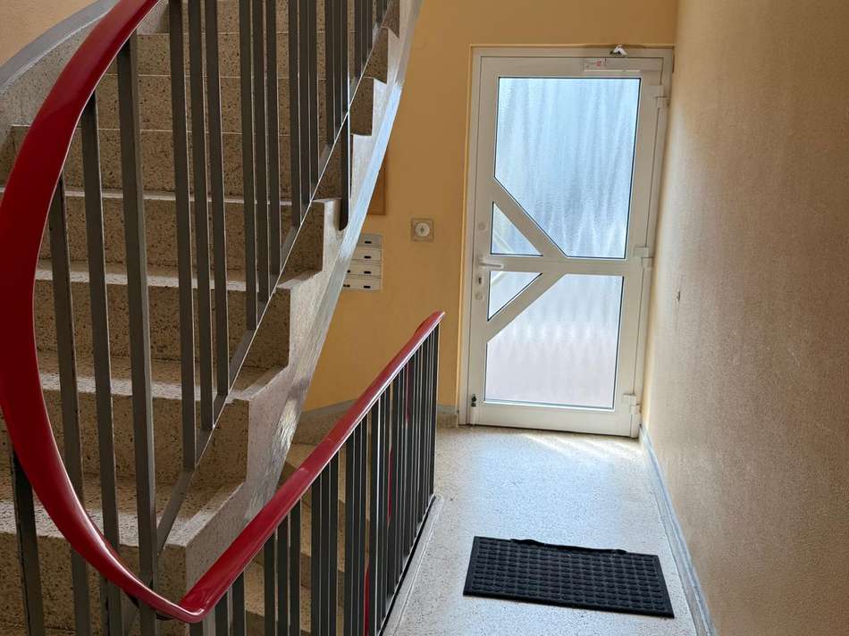 WhatsApp Image 2025-07-30 at 1