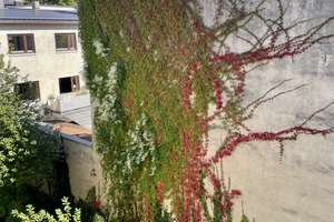* Helles City-Apartment in Bestlage Alt-Schwabing - Nähe Wedekindplatz * – Siegesstraße 12, 80802 Schwabing-Ost, München – Vorschaubild 17