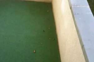 MEGA =》KÜCHWALD / 2 ZI OASE, BALKON, TAGESLICHTBAD !! – Die vollständige Adresse der Immobilie erhältst du vom Anbieter., 9111 Zentrum, Chemnitz – Vorschaubild 6