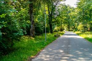 Wohlfühen mit Nähe zum Stadtpark! 2 Zimmer mit Südbalkon – Wenzel-Verner-Straße 57, 9120 Helbersdorf, Chemnitz – Vorschaubild 11