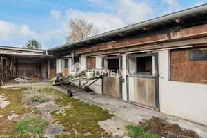 Solides Reihenendhaus mit großem Grundstück in Magdeburg-Nordwest – Die vollständige Adresse der Immobilie erhältst du vom Anbieter., 39128 Nordwest, Magdeburg – Vorschaubild 13