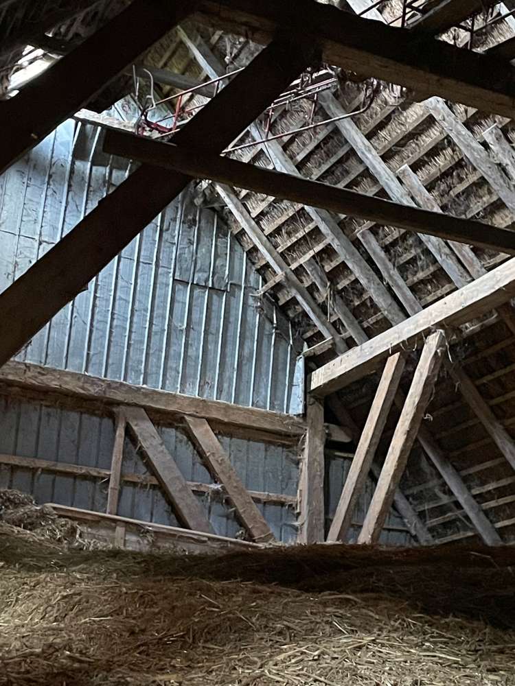 Haubarg Kornhof, Nordfriesland Kreis – Bild 4