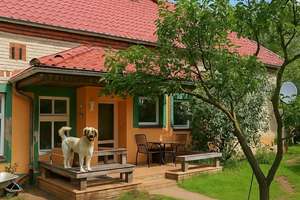 Viel Platz für Ideen – 5 Zimmer-Haus 160 m² Wfl. mit Werkstatt, Partyraum & großem Garten bei Berlin – Kurzlipsdorf 31, 14913 Niedergörsdorf – Vorschaubild 1