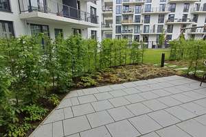 Geräumige 3-Zimmerwohnung mit Terrasse, Loggia und Stellplatz in Bahrenfeld! – Von-Sauer-Straße 16, 22761 Bahrenfeld, Hamburg – Vorschaubild 9