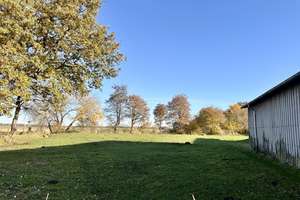 Verkauf eines gepflegten Resthofes mit Hausweide und Stallungen in Alleinlage ca. 7 km von Heide – Die vollständige Adresse der Immobilie erhältst du vom Anbieter., 25795 Weddingstedt – Vorschaubild 8