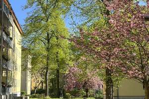 Gelegenheit: Bezugsfreie Wohnung in bevorzugter Lage ruhig und dennoch zentral gelegen – Sültstraße 50, 10409 Prenzlauer Berg, Berlin – Vorschaubild 17