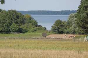 Familienfreundliches 5,5-Zimmer-Einfamilienhaus am Schweriner See – Parchim (Kreis) – Vorschaubild 3