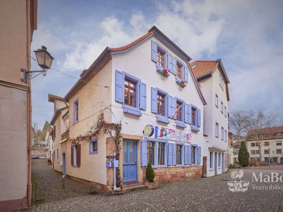 Frontansicht