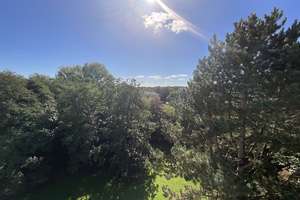 Frisch renovierte 1 Zimmer-Wohnung mit modernem Duschbad und Balkon – 22417 Langenhorn, Hamburg – Vorschaubild 19