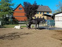 Pferdebereich mit Weidefläche