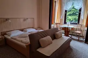 Jugendstilvilla - Gründerzeit/ In traumhafter Lage mit viel Geschichte in Bad Sachsa zu verkaufen. – Osterode am Harz (Kreis) – Vorschaubild 17