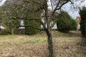 5-Zimmer-Doppelhaus auf großem sonnigen Grundstück in Hannover-Bothfeld – Damaschkestraße 13, 30659 Bothfeld, Hannover – Vorschaubild 6