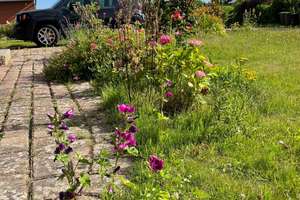 Reizendes Häuschen am Meer mit Garten – Die vollständige Adresse der Immobilie erhältst du vom Anbieter., 24257 Hohenfelde – Vorschaubild 4
