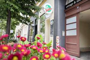 Groß, hell und viel Platz! Ein Familientraum in ruhiger Hoflage mit tollen Sichtbalken. Gleich hinte – Ludwig-Wucherer-Str. 62, 6108 Paulusviertel, Halle (Saale) – Vorschaubild 11
