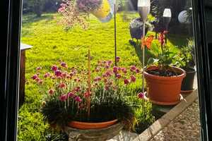 Natur, Ruhe und Lebensqualität! Hier passt alles! – Emmendingen (Kreis) – Vorschaubild 2