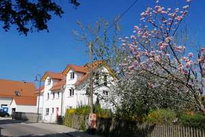 5-Zimmer-EG-Wohnung mit Garten in Weßling