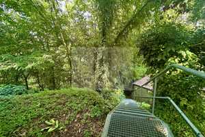 Wassergrundstück - Repräsentatives Einfamilienhaus mit großer Dachterrasse – Bautzen (Kreis) – Vorschaubild 5