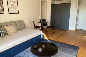 Luxuriöses, möbliertes Einzimmer-Apartment – Die vollständige Adresse der Immobilie erhältst du vom Anbieter., 81543 Siebenbrunn, München – Vorschaubild 4