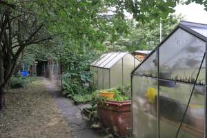 Gartenliebhaber aufgepasst! Familienfreundliches Zweifamilienhaus mit Modernisierungsbedarf  – Die vollständige Adresse der Immobilie erhältst du vom Anbieter., 45355 Borbeck-Mitte, Essen – Vorschaubild 8