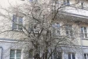 2 - Zimmer Wohnung in Friedrichshain! Zum Verkauf! – Rüderdorfer Straße 14, 10243 Friedrichshain, Berlin – Vorschaubild 10