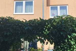 Im Sommer im eigenen Garten – Weimar – Vorschaubild 7