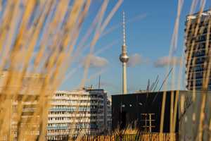 Property thumbnail 13